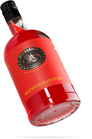 Арбуз/Watermelontini сироп 0,7л стекло Herbarista Россия