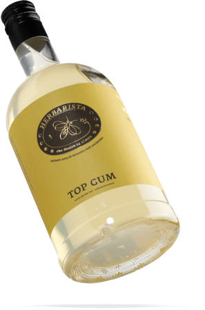 Сахарный/Top Gum сироп 0,7л стекло Herbarista Россия