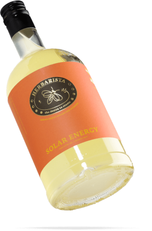 Цитрусовый Микс/Solar Energy сироп 0,7л стекло Herbarista Россия