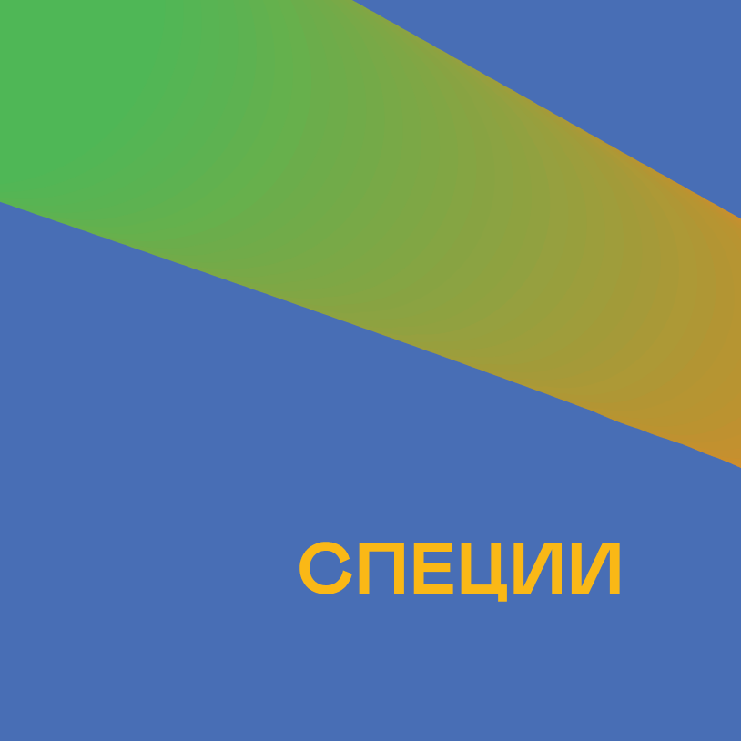 Специи