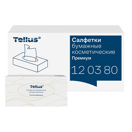 FT1 Салфетки для лица супер-мягкие100 л (20,8*19 см) 2-слойные Торк 120380