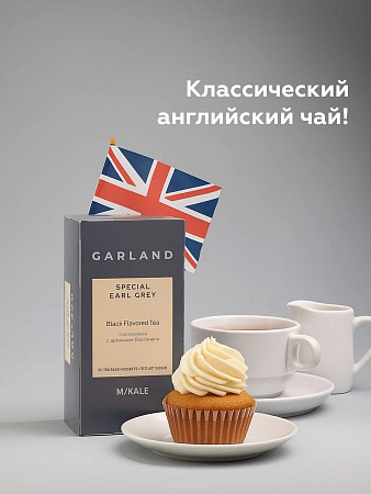 Спешл Эрл Грей 25пак * 2г