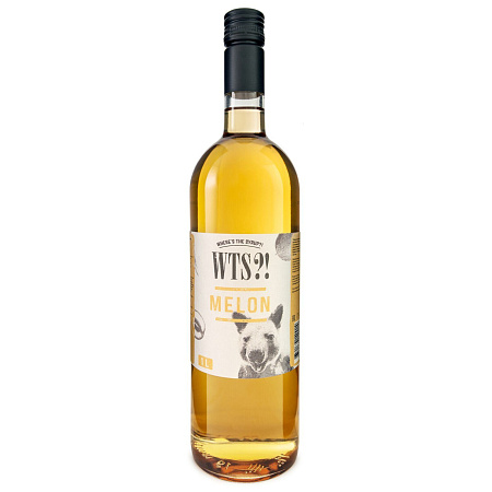 Дыня сироп 1л стекло WTS Россия