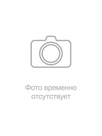 Персик сироп 1л стекло WTS Россия