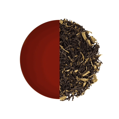 ЗК_Марракеш