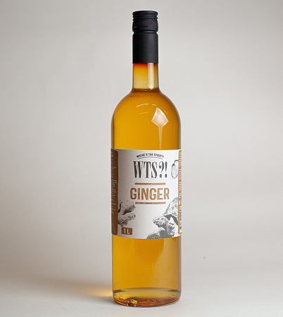 Имбирный сироп 1л стекло WTS Россия