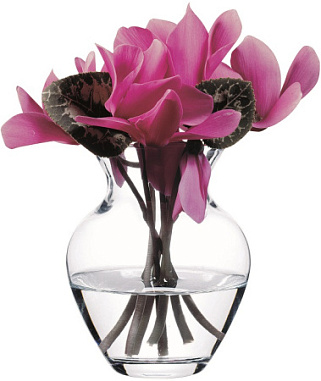 c860493j99hp4faaql5mj8vdmk4oggdd