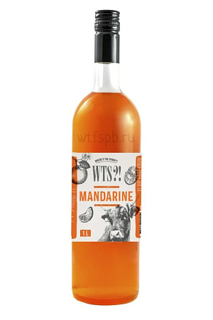Мандарин сироп 1л стекло WTS Россия